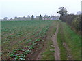 SK6134 : Footpath to Tollerton by Alan Murray-Rust