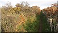 NT4883 : Path, Gullane Bents by Richard Webb