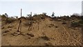 NT4883 : Eroding dunes by Richard Webb