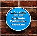 NS5862 : R. D. Laing -  Blue Plaque - Ardbeg Street by Alan Murray Walsh