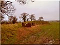 NX3659 : Bales of Hay by Andy Farrington