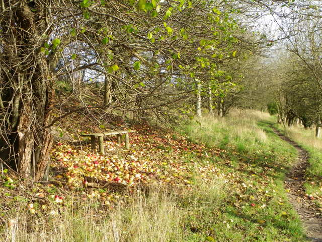 Bridleway, Broad Chalke