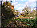 TM1774 : Cookley Lane footpath to South Green & Eye Road by Geographer