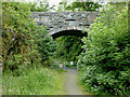 SN7067 : Dismantled railway and bridge near Ystradmeurig, Ceredigion by Roger  D Kidd