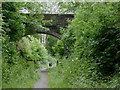 SN7067 : Dismantled railway and bridge near Ystradmeurig, Ceredigion by Roger  D Kidd