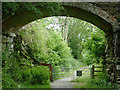 SN7167 : Dismantled railway and bridge near Ystradmeurig, Ceredigion by Roger  D Kidd