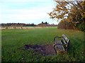 TQ1077 : Park Bench, Cranford Park by Des Blenkinsopp