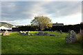 NH8913 : Aviemore Ring Cairn and Stone Circle by Phil Champion