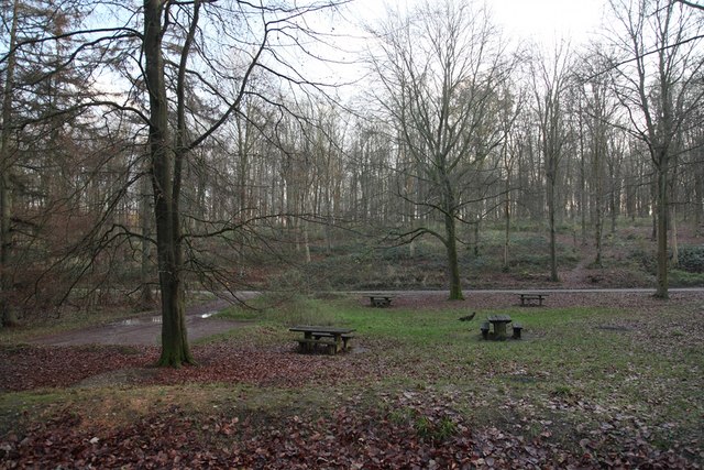 Picnic site and parking in the West Woods