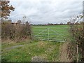 SJ7372 : Field gate on the north side of Baker's Lane by Christine Johnstone