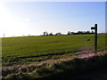 TM2775 : Footpath to the B1116 Laxfield Road by Geographer