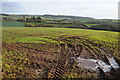 SO4801 : Winter cereals, Trelleck Grange by Philip Halling