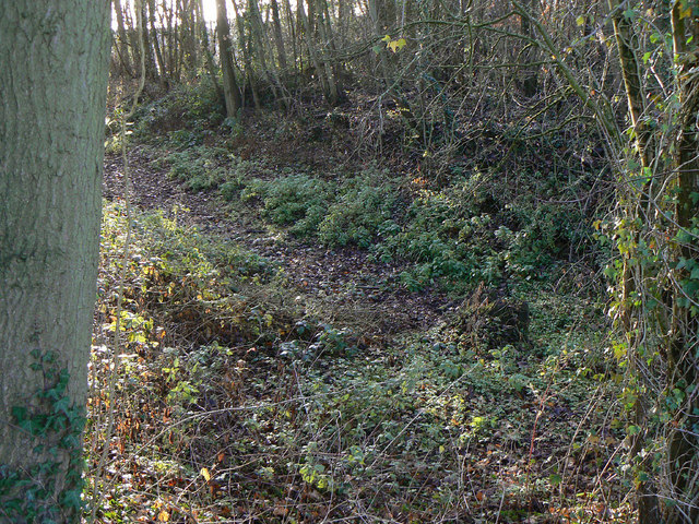 Former fishpond in Burton Plantation