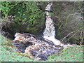 NY7540 : Howgill Sike tumbles into the River South Tyne by Les Hull