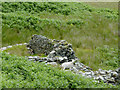 SN7865 : Ruined farm near Llyn Egnant, Ceredigion by Roger  D Kidd