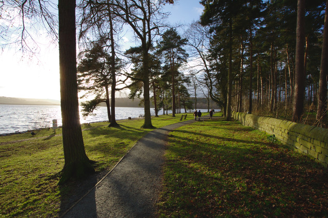 Picnic Area, Swinsty Reservoir