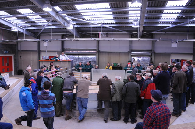 Sale ring, Hereford Livestock Market