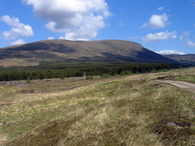 Moorland and coniferous plantation in Glen Markie