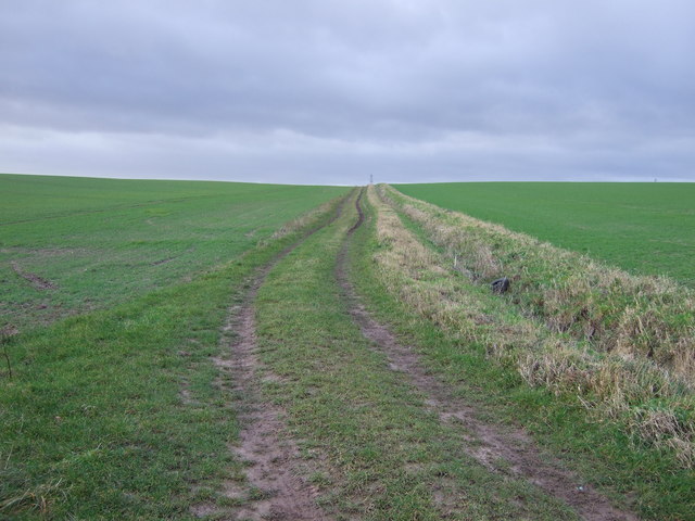 Farm track off Mile Hill