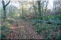 SU5452 : Footpath in Frith Wood by Graham Horn