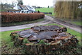 SO5526 : Tree stump at Lough Pool by Philip Halling