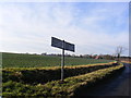 TM3278 : Roadsign on the B1123 Harleston Road by Geographer