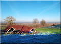 SP5611 : Collapsed Shed and View Over Otmoor by Des Blenkinsopp