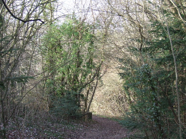 Public bridleway near Shoreham