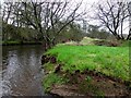 H4772 : Eroded riverbank, Cranny by Kenneth  Allen