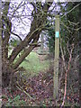 TM3471 : Footpath to Heveningham Long Lane by Geographer