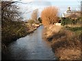 TL5050 : The River Granta looking northwest by Robert Edwards