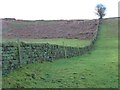 SE0443 : Green field, green wall by Christine Johnstone