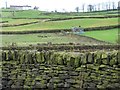 SE1035 : Dry stone wall patchwork off Prune Park Lane by Christine Johnstone