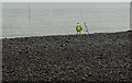 SS8647 : Sea fishing at Porlock Weir by Graham Horn