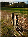 SU8394 : Towards West Wycombe mausoleum and church by Graham Horn