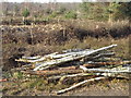 SU9853 : Log Pile, Whitmoor Common by Colin Smith