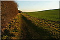 SU9795 : Footpath along the Misbourne valley by Graham Horn