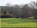 SX9379 : Bridge over Dawlish Water near Houndspool (set of 2 images) by David Smith