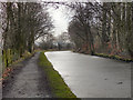 SJ9586 : Macclesfield Canal, Windlehurst by David Dixon