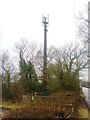 TL9726 : Telecommunication Mast, Baker's Lane by Alex McGregor