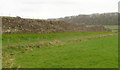 ST4690 : Remains of the ancient Roman west wall, Caerwent by Jaggery