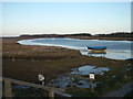 TM3948 : Upstream view of the Butley River by John Goldsmith