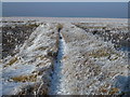 TF4033 : The Wash coast in winter - Narrow foot path to the wilderness by Richard Humphrey