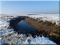 TF4034 : The Wash coast in winter - Tidal creek without a bridge by Richard Humphrey