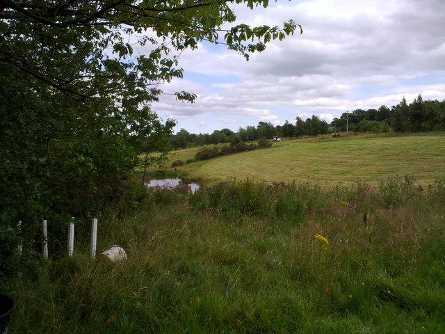 Fishpond on Outputs Lane