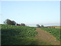 TQ5265 : Path across the fields, near Eynsford by Malc McDonald