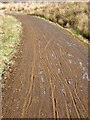 NY6591 : Tyre tracks on the Lakeside Way by Oliver Dixon