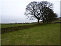 SJ9962 : A stone stile on the path to Roche Grange by Richard Law