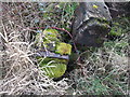 SU1187 : Detail of discarded lock gates, Mouldon Lock, Wilts & Berks Canal (North Wilts Branch) by Vieve Forward