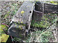 SU1187 : Detail of discarded lock gates, Mouldon Lock, Wilts & Berks Canal (North Wilts Branch) by Vieve Forward